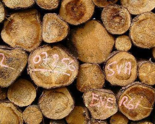 Energy from Wood – Policies, logistics and economics of bioenergy in Nordic countries