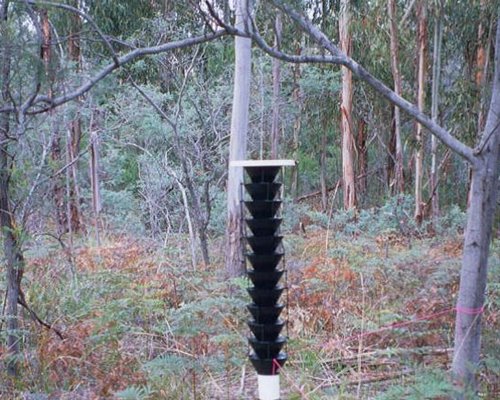 The Use of Static Traps for the Detection and Monitoring of Exotic Forest Insects