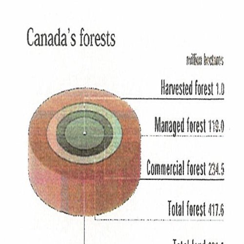 Enculturation of Sustainable Forest Management Systems – Learning from the Canadian Experience