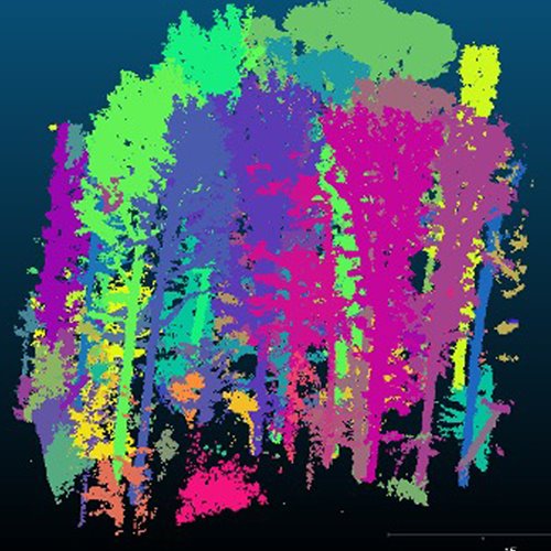 Current and emerging techniques and technologies for Single Tree Inventories